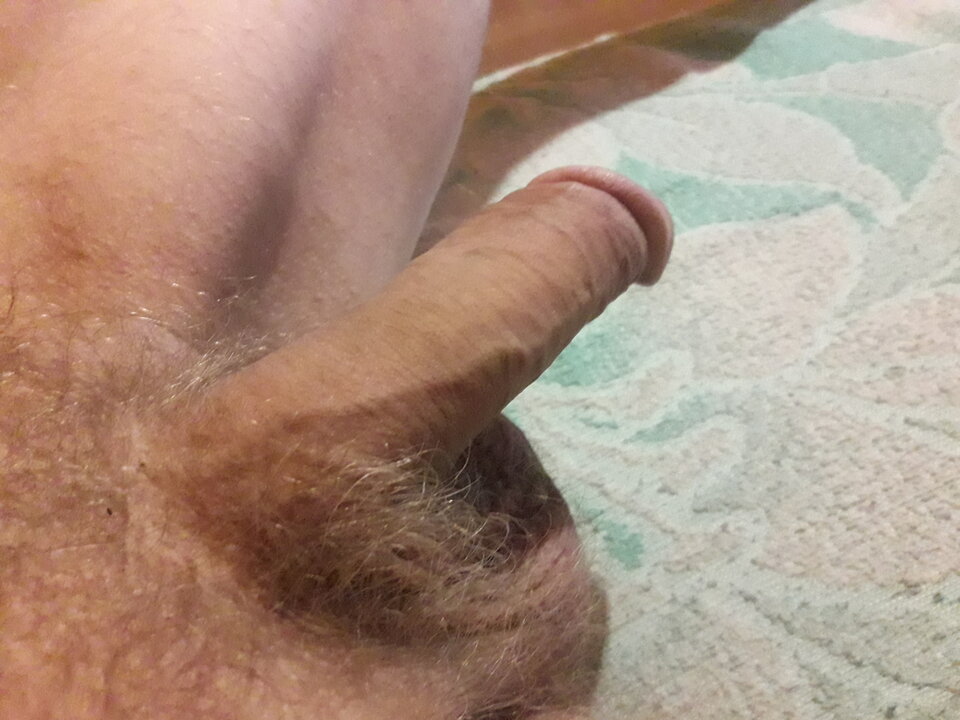 20230402_214731.jpg - brus13