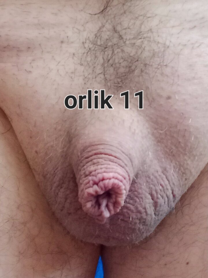 20230424 - orlik11