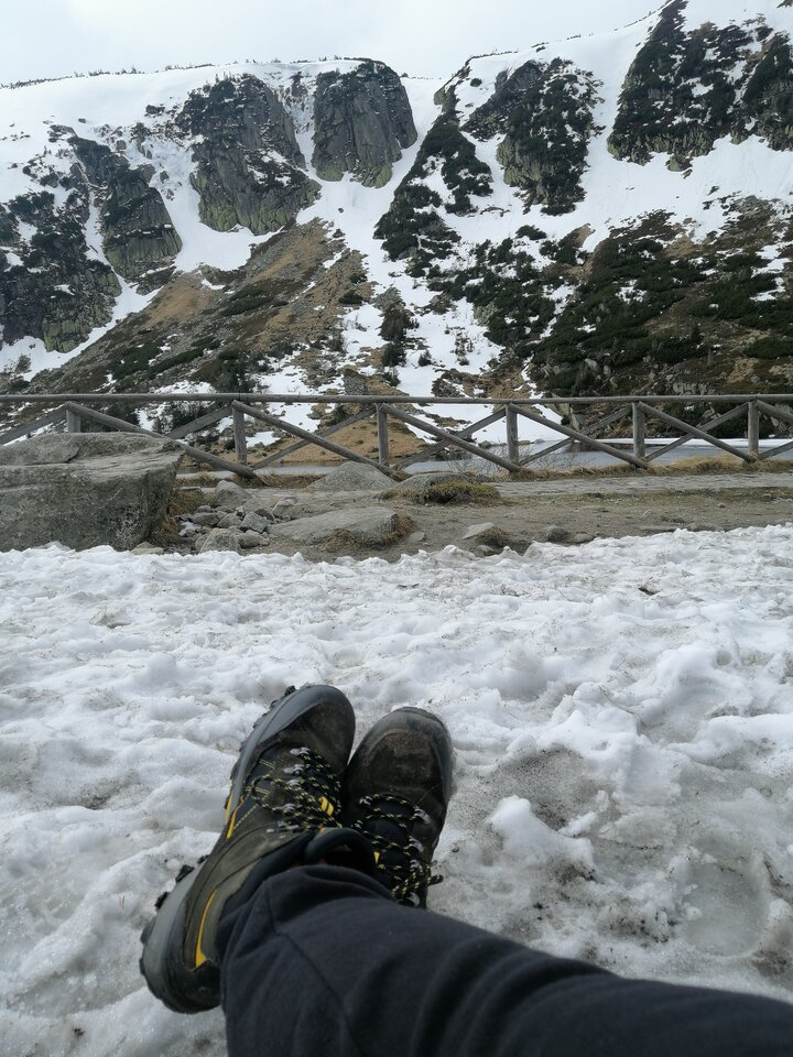 Gdzieś wysoko...w samotności - Misiek_8181