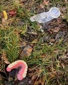 Po randce w sanatorium  (foto z Internetu)