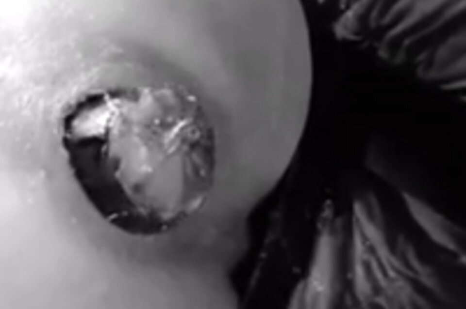 Bakłażan hardcore 5.jpg - ArekNo1