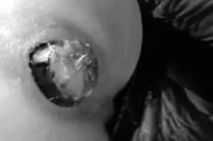 Bakłażan hardcore 5.jpg