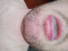 IMG_20230426_181350948.jpg
