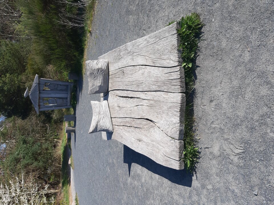 20230427_103341.jpg - MarkoSkorpion