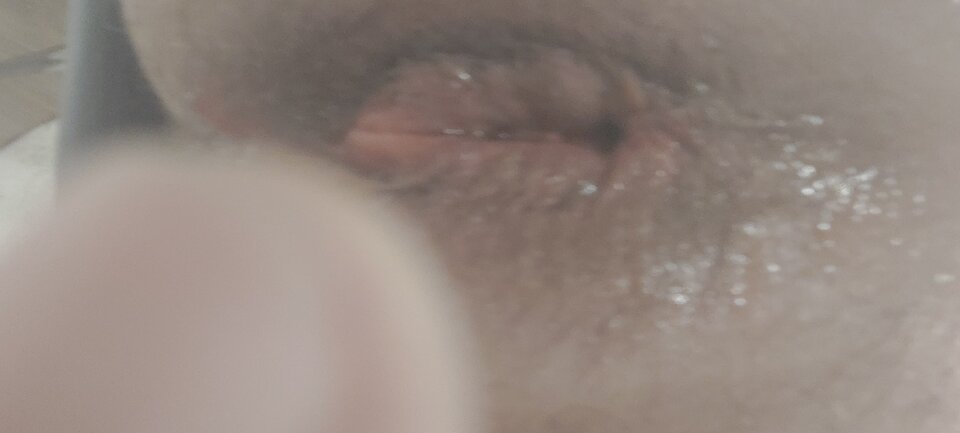 20230428_012424.jpg - animaxo