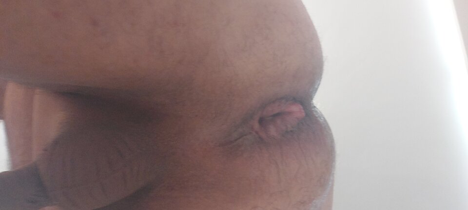 20230428_013619.jpg - animaxo