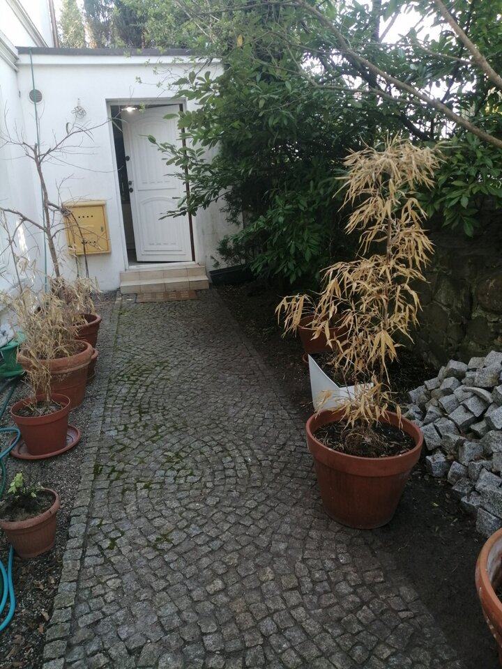 IMG-48ded19f07b70ae7311260e3aa65db72-V.jpg - Lesmian3