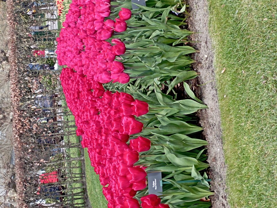 IMG_20230414_125402.jpg - 19slaw79