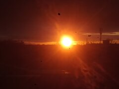 IMG_20230113_154642.jpg