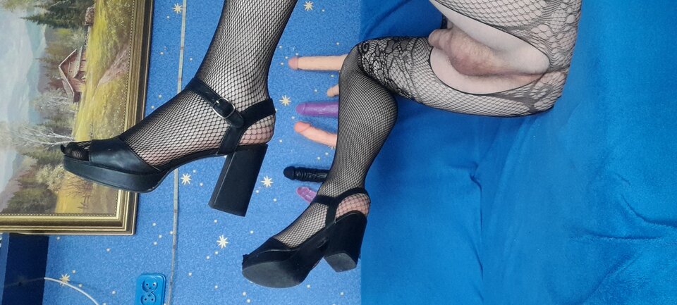 20230429_131459.jpg - Tygrys4040