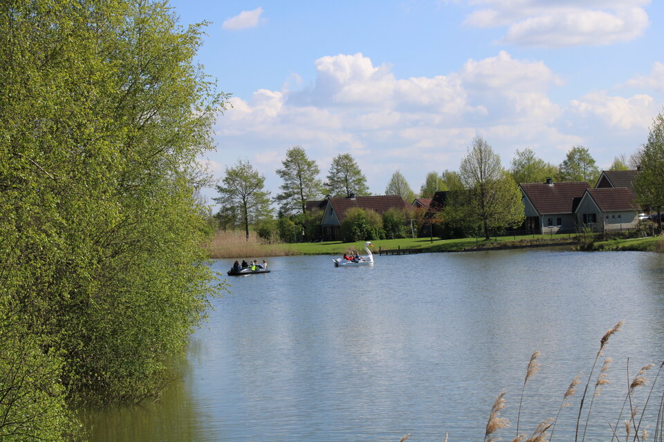 IMG_0111.jpeg - nrw670n