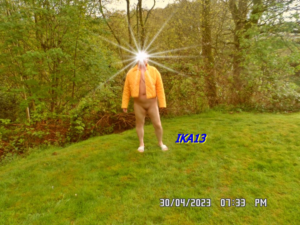 SAM_0010.JPG - ika13