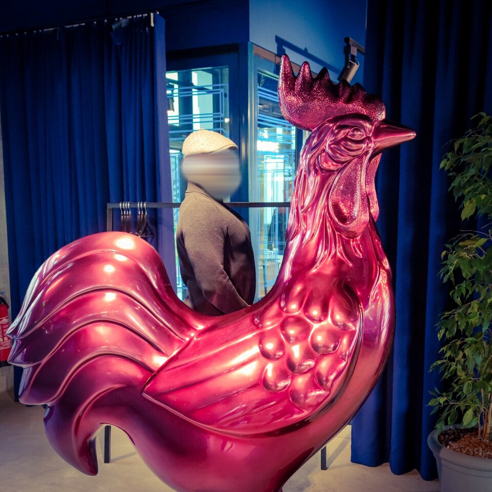 blur.background.squareblur.blurphoto_202343022303849.jpg - ZabawaEM