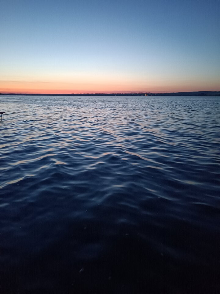 IMG_20230430_204643.jpg - MattVegass