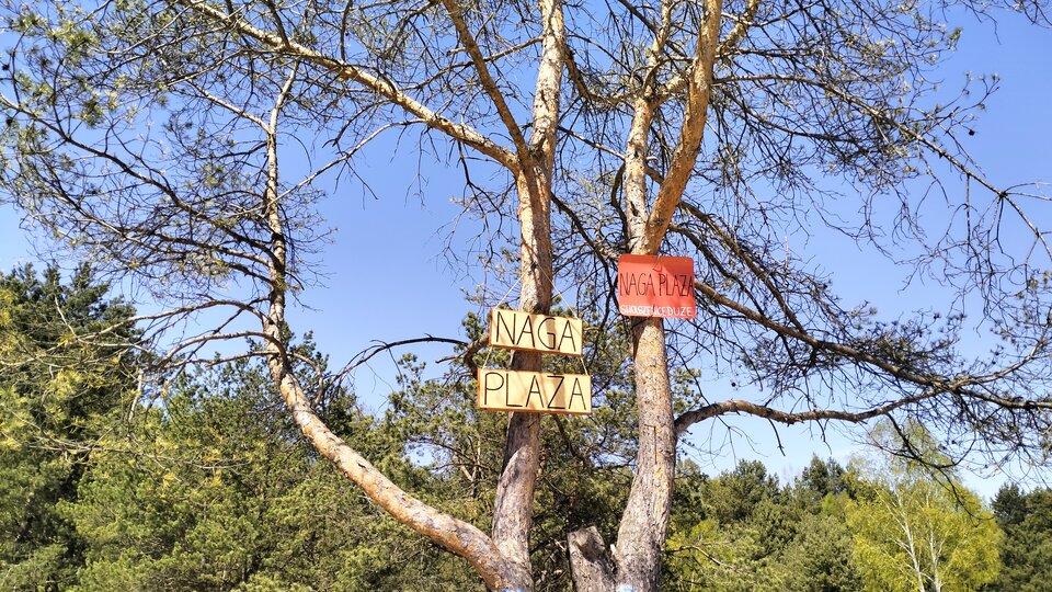 IMG20230501133000.jpg - josef1975