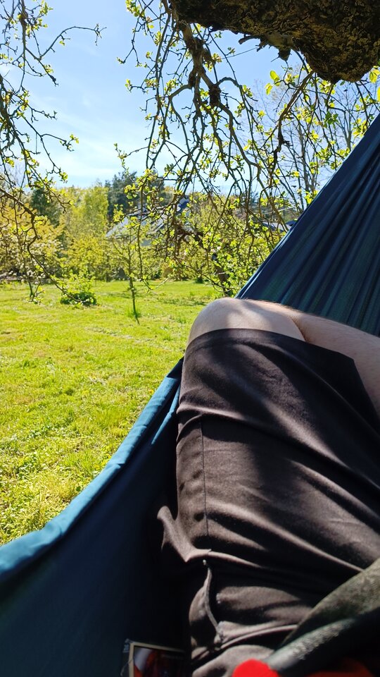 16829460257271781875285304535770.jpg - Marruk989