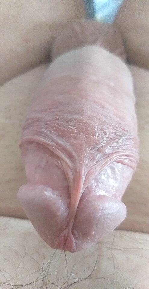 received_852274995538293.jpeg - Preznyy