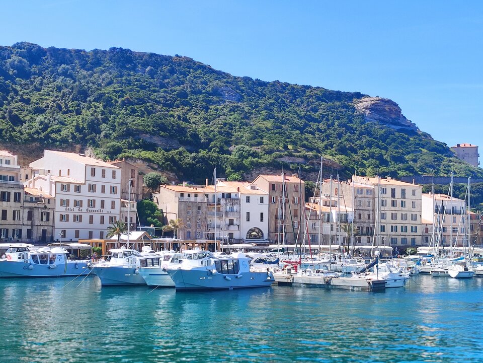 IMG_20230426_115952.jpg - bizon334