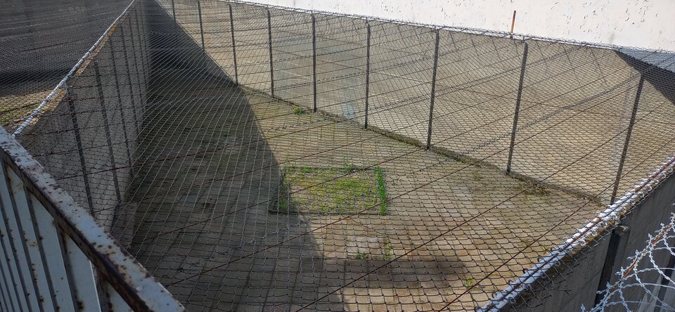 Wieżyczka - Maciek1182