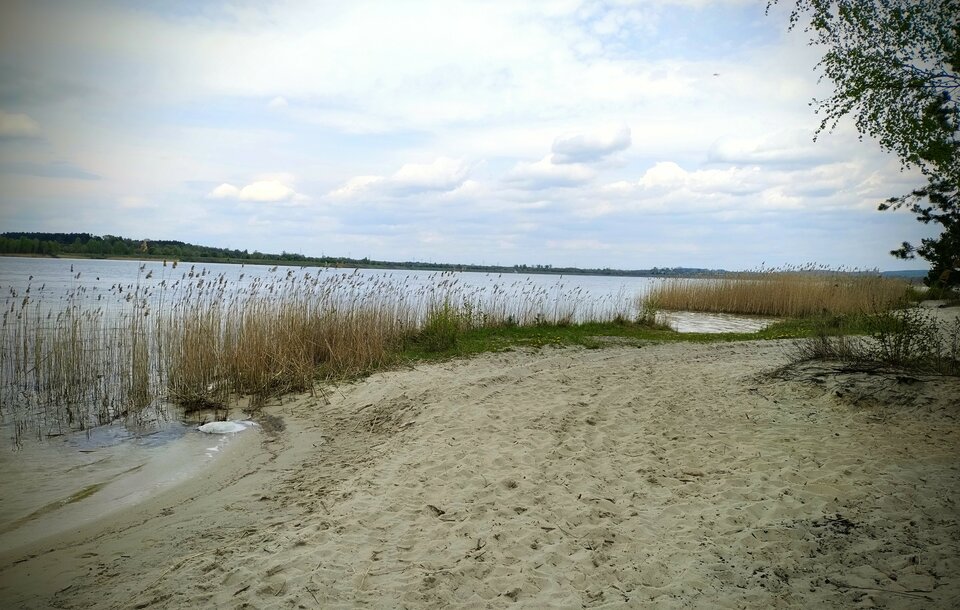 02.05.2023 - CoraPearl