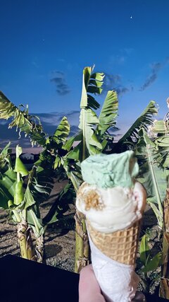 IMG_6318.jpeg