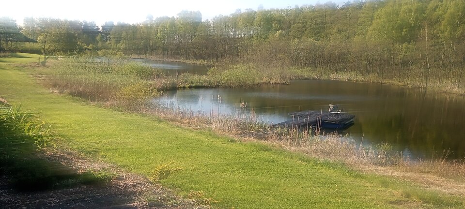 20230503_083128.jpg - Swiezozakochani