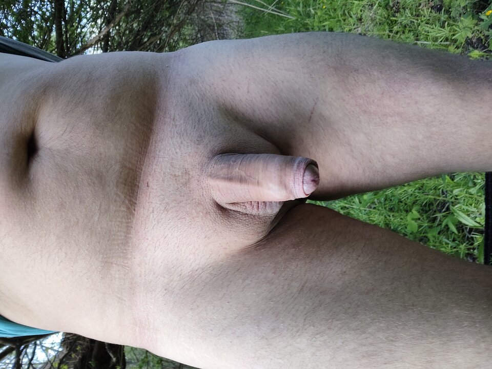 IMG_20230503_173402527.jpg - jan2121