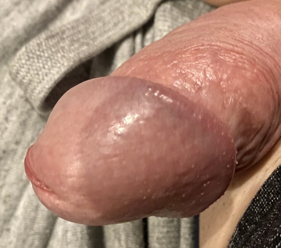 4CA43EE8-3C62-45AD-B522-89CEF64EA688.jpeg - Struna0879