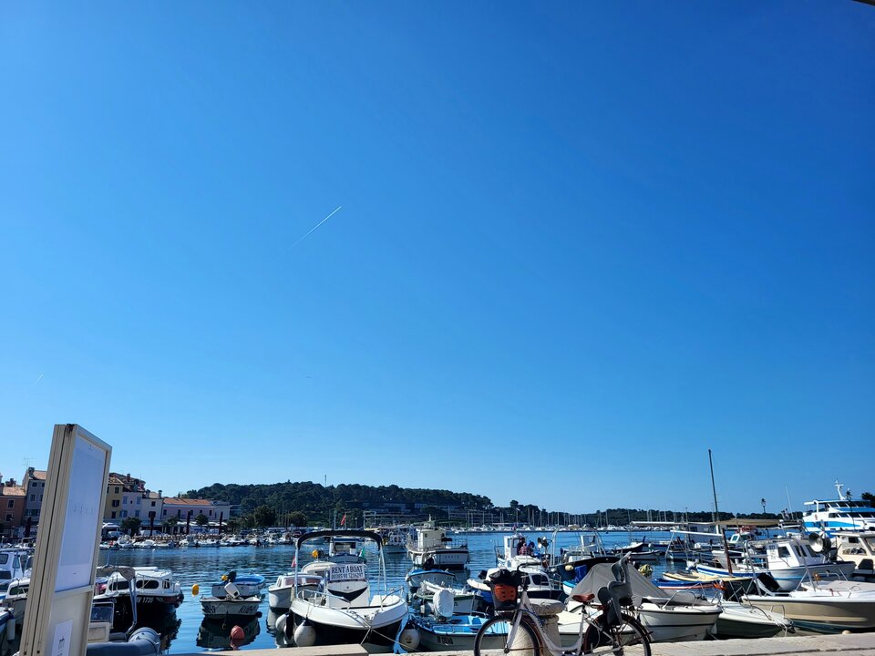 20230504_093129.jpg - parkakrk4