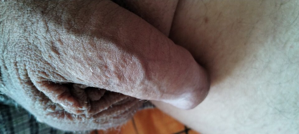 16832004762627412487582200854284.jpg - dupekalex