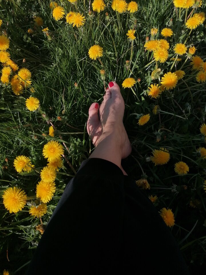 IMG_20230503_172546.jpg - Pani_sexy_stopy