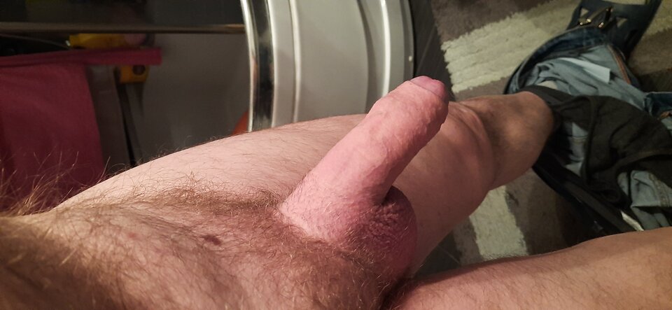 16832154590104267591736859979940.jpg - dojrzaly1971