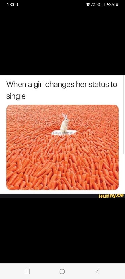 Screenshot_20230504_180904_Facebook.jpg - Shibusen