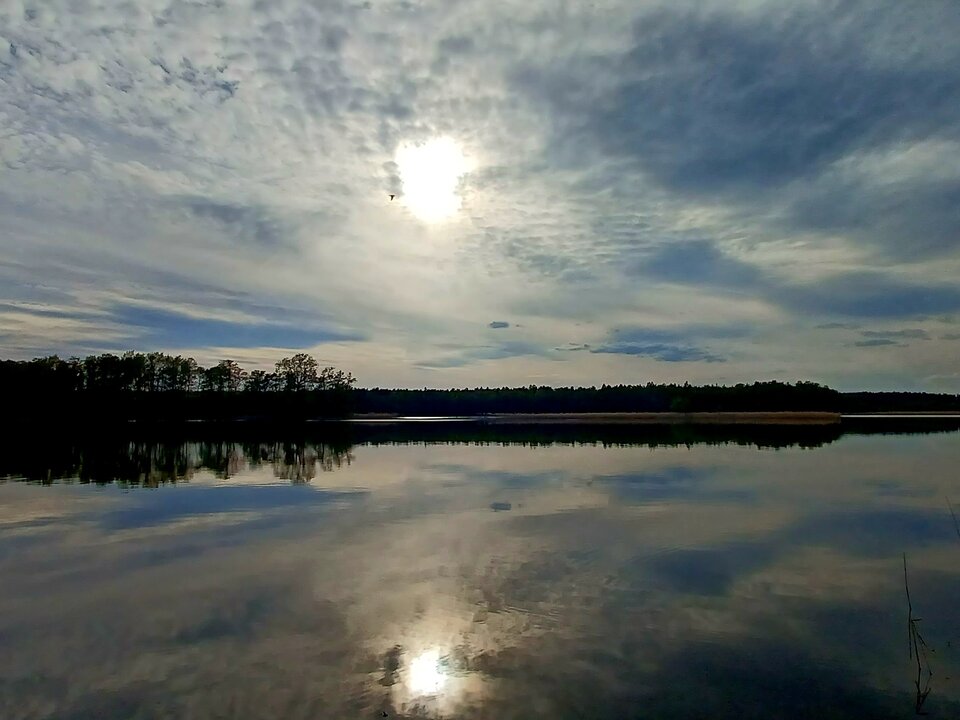 20230504_175206.jpg - Skorpion750