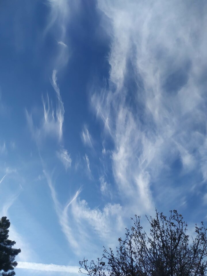 772093578.jpeg - Nicci