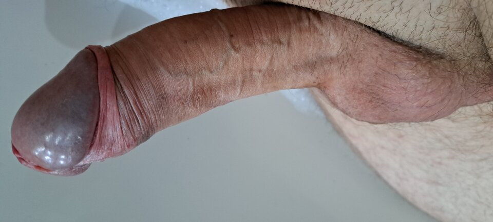 16832323119961496867662203631367.jpg - Kukuuuk