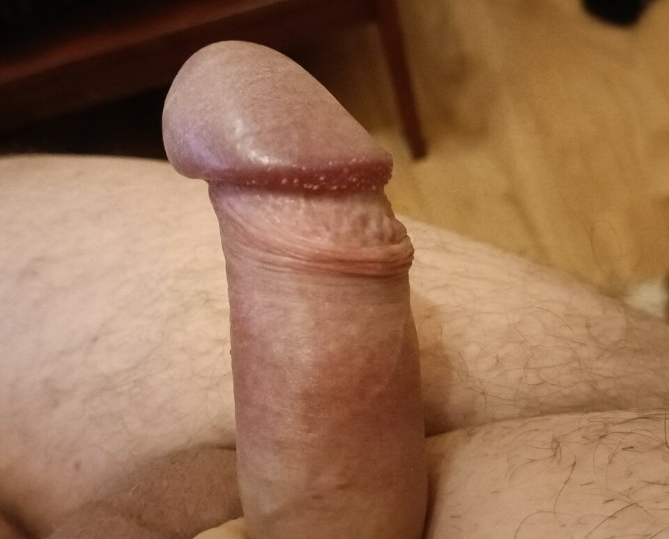 IMG20230505054736~2.jpg - ardas1