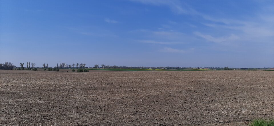 16832804205771290136517621117537.jpg - Mich1977