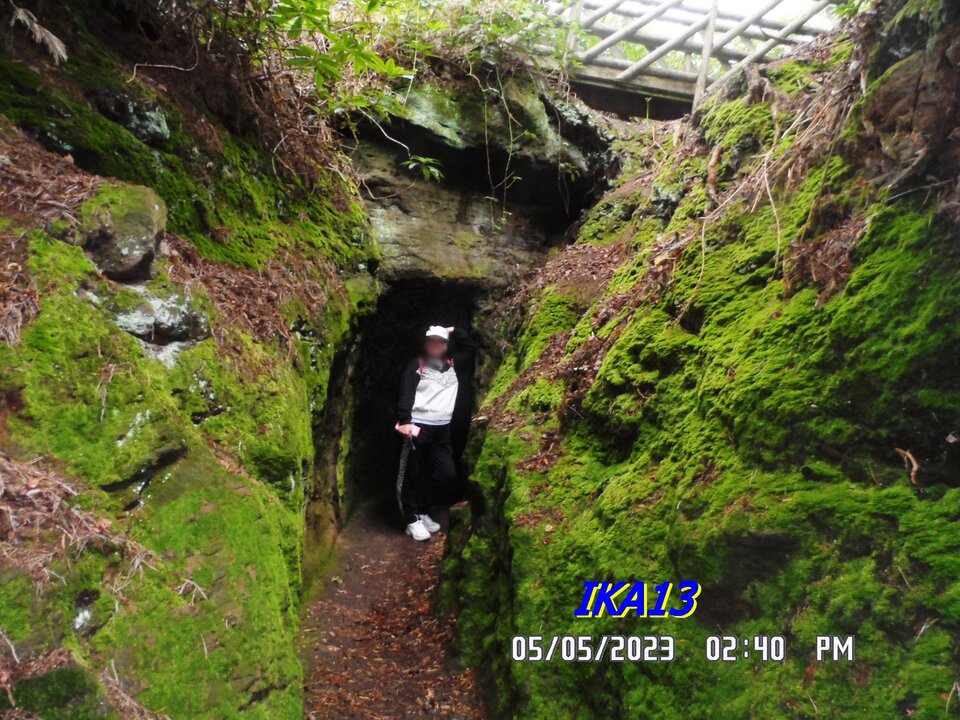 SAM_1213.JPG - ika13