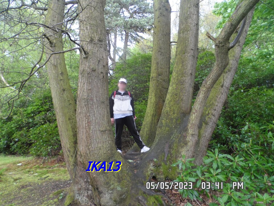 SAM_1216.JPG - ika13