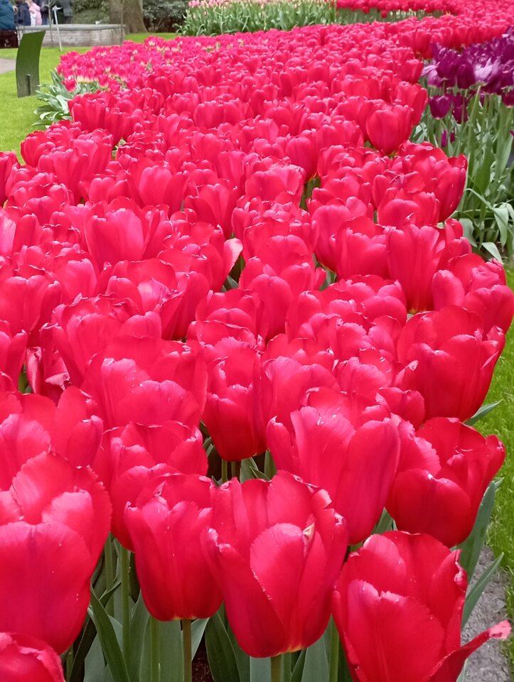 IMG_20230505_221317.jpg - 19slaw79