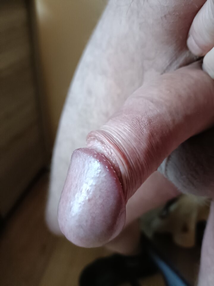 16833460874078344068432560579039.jpg - ardas1