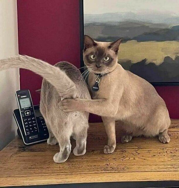 1683379401643.jpg - Nicci