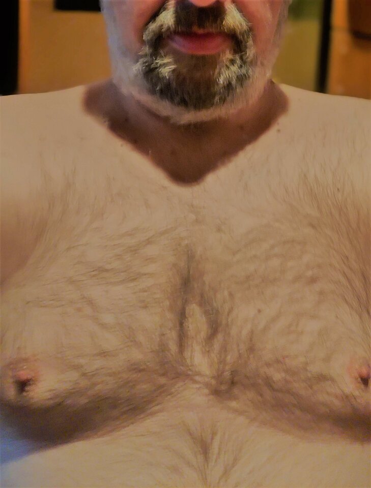 misiek12.jpg - Kalkonore