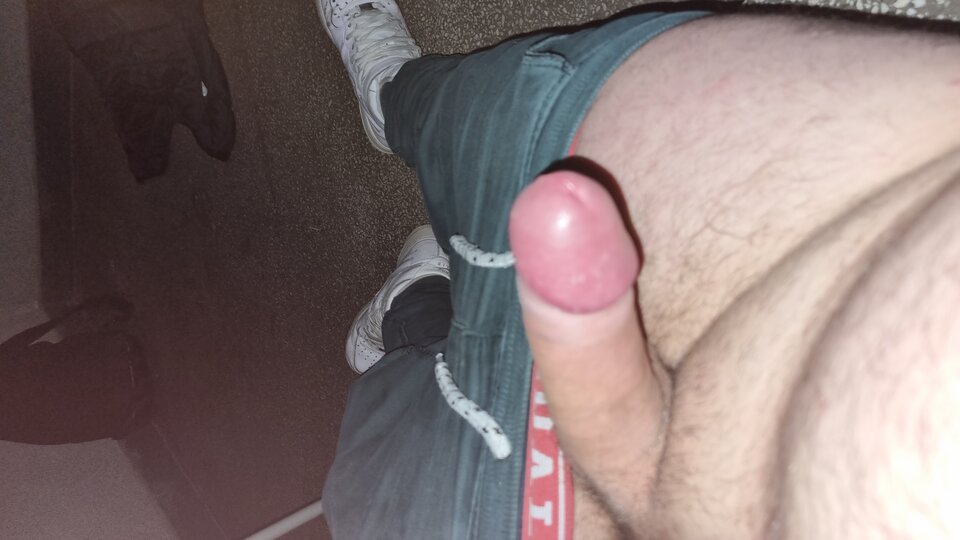 16834152812686999511940676560687.jpg - WyssamCie69