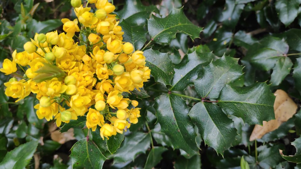 28_175555.jpg - Nicci