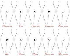 wybierz swój kształt.jpg