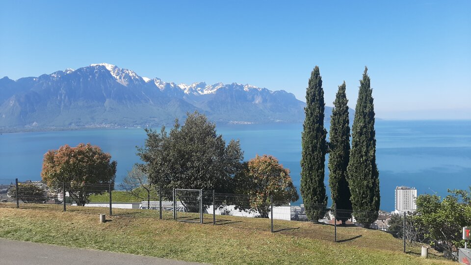 20230503_111134.jpg - Epicki69