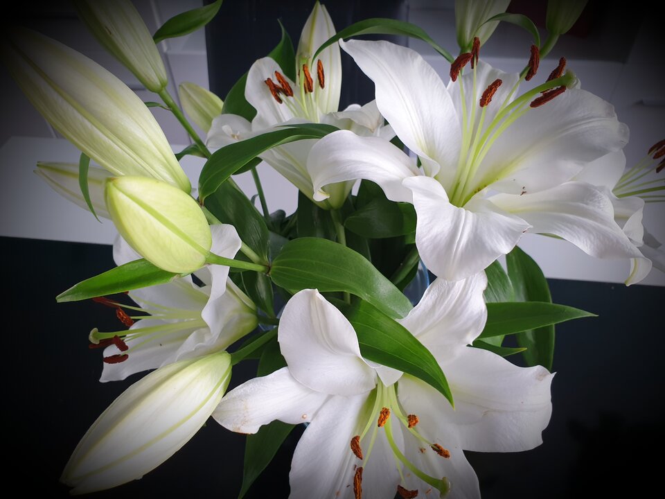 20230507_174020.jpg - Monika_i_on