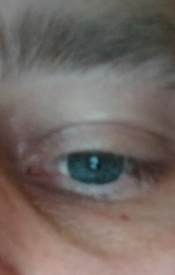 IMG_20230507_183212.jpg - rafalkredka